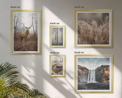 Framed photo set Wildlife landscapes