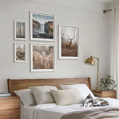 Framed photo set Wildlife landscapes