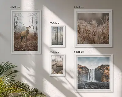Framed photo set Wildlife landscapes