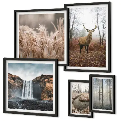 Framed photo set Wildlife landscapes