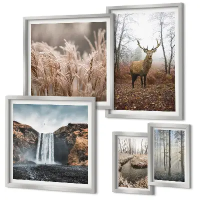 Wildlife landscapes framed photo set