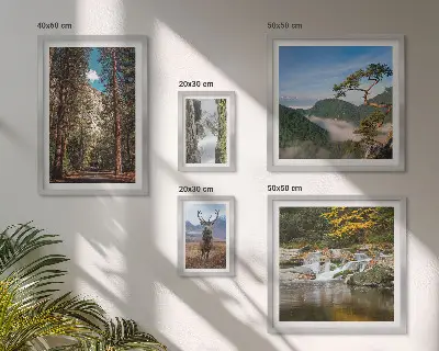 Gallery wall Mountain landscapes and wild nature