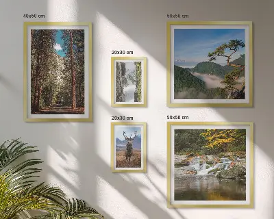 Gallery wall Mountain landscapes and wild nature
