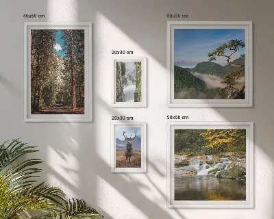 Gallery wall art set mountain landscapes and wild nature prints