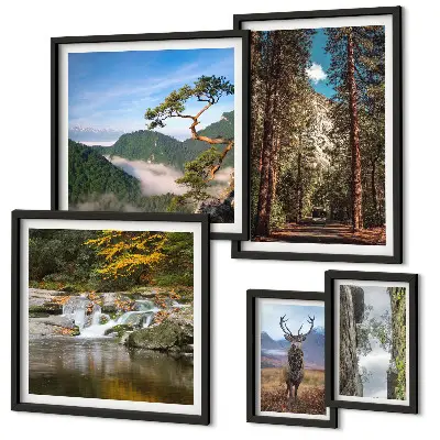Gallery wall Mountain landscapes and wild nature