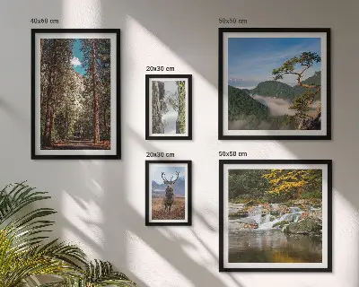 Gallery wall art set mountain landscapes and wild nature prints