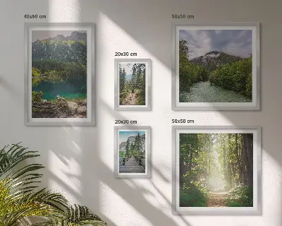 Framed photo set Mountain landscapes and forest trails