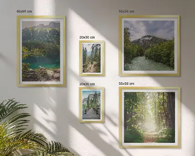 Framed photo set Mountain landscapes and forest trails