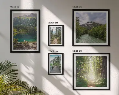 Framed photo set Mountain landscapes and forest trails