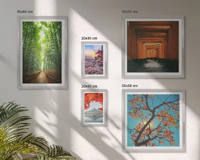 Framed photo set Landscapes of Japan bamboo flowers