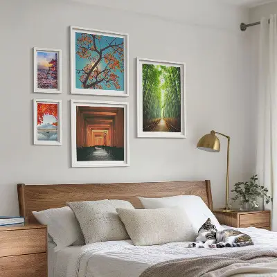 Framed photo set Landscapes of Japan bamboo flowers