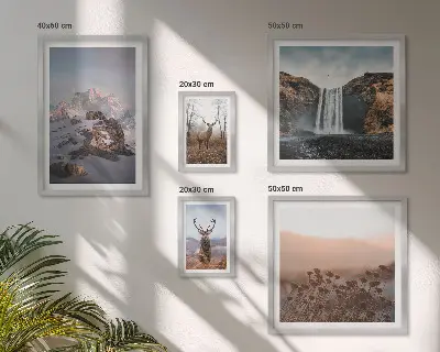Gallery wall Mountain landscapes wild animals