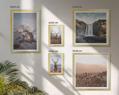 Gallery wall Mountain landscapes wild animals