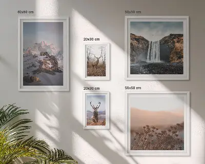 Gallery wall Mountain landscapes wild animals