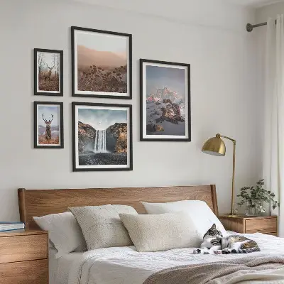Gallery wall Mountain landscapes wild animals