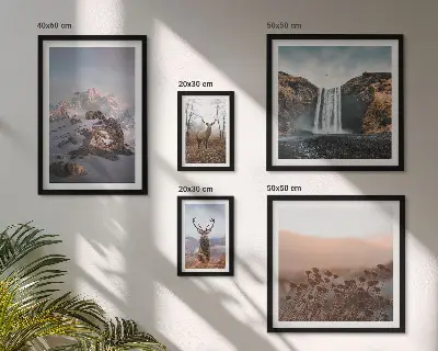 Gallery wall Mountain landscapes wild animals