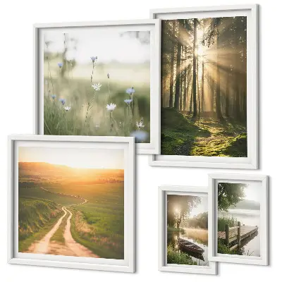Gallery wall forest landscapes with sun and water