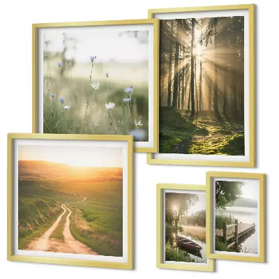 Gallery wall Forest landscapes sun water