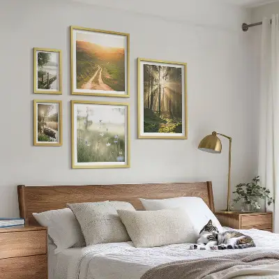Gallery wall forest landscapes with sun and water