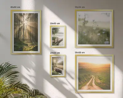 Gallery wall Forest landscapes sun water
