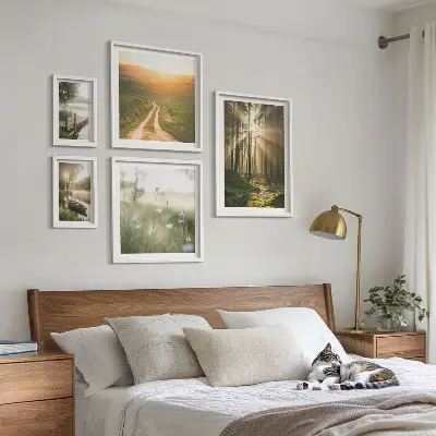 Gallery wall Forest landscapes sun water