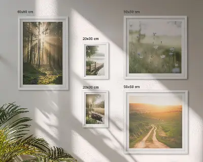 Gallery wall Forest landscapes sun water