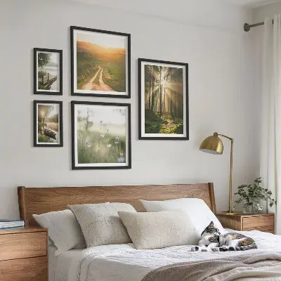 Gallery wall Forest landscapes sun water