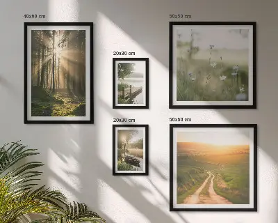 Gallery wall forest landscapes with sun and water