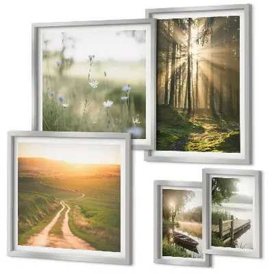 Gallery wall forest landscapes with sun and water