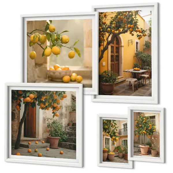 Framed photo set Citrus fruits in the garden
