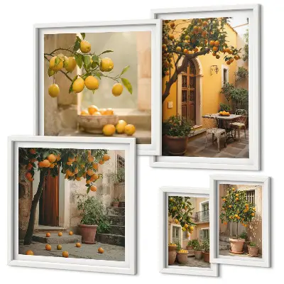 Framed photo set Citrus fruits in the garden