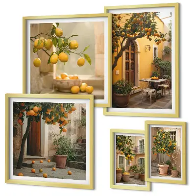 Framed photo set Citrus fruits in the garden