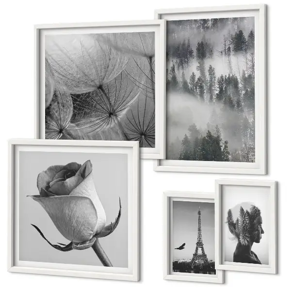 Gallery wall Black and white nature city