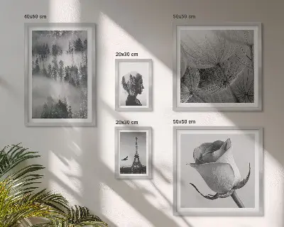 Gallery wall black and white nature and city scenes