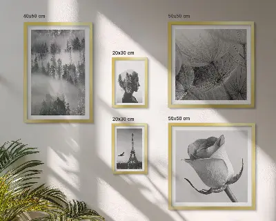 Gallery wall Black and white nature city