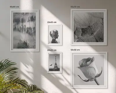 Gallery wall Black and white nature city
