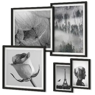 Gallery wall Black and white nature city