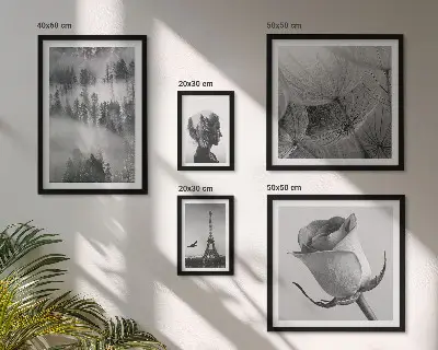 Gallery wall Black and white nature city