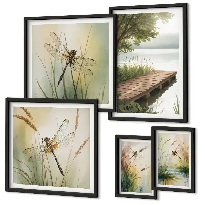 Gallery wall Peaceful landscapes of dragonflies