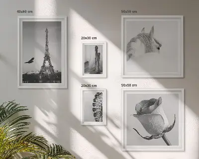 Set of 5 wall art pieces Stylish black and white images