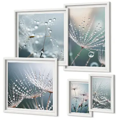 Framed photo set Dewdrops minimalist plants
