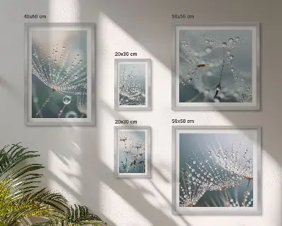 Framed photo set Dewdrops minimalist plants