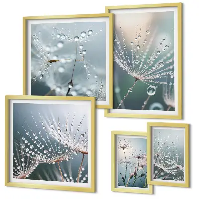 Framed photo set Dewdrops minimalist plants