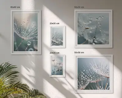 Framed photo set Dewdrops minimalist plants
