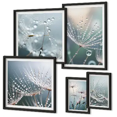 Framed photo set Dewdrops minimalist plants
