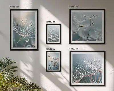 Framed photo set Dewdrops minimalist plants