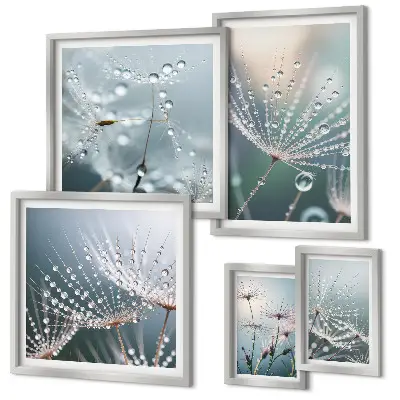 Framed photo set Dewdrops minimalist plants
