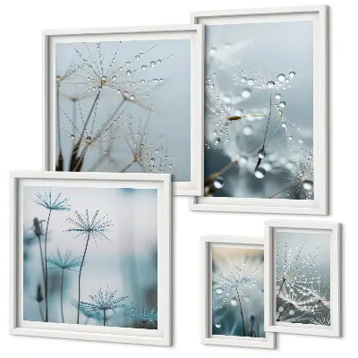 Set of 5 wall art pieces Plant motifs, water drops