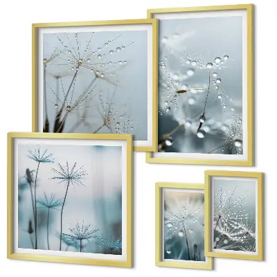 Set of 5 wall art pieces Plant motifs, water drops