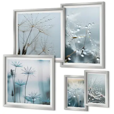 Set of 5 wall art pieces Plant motifs, water drops